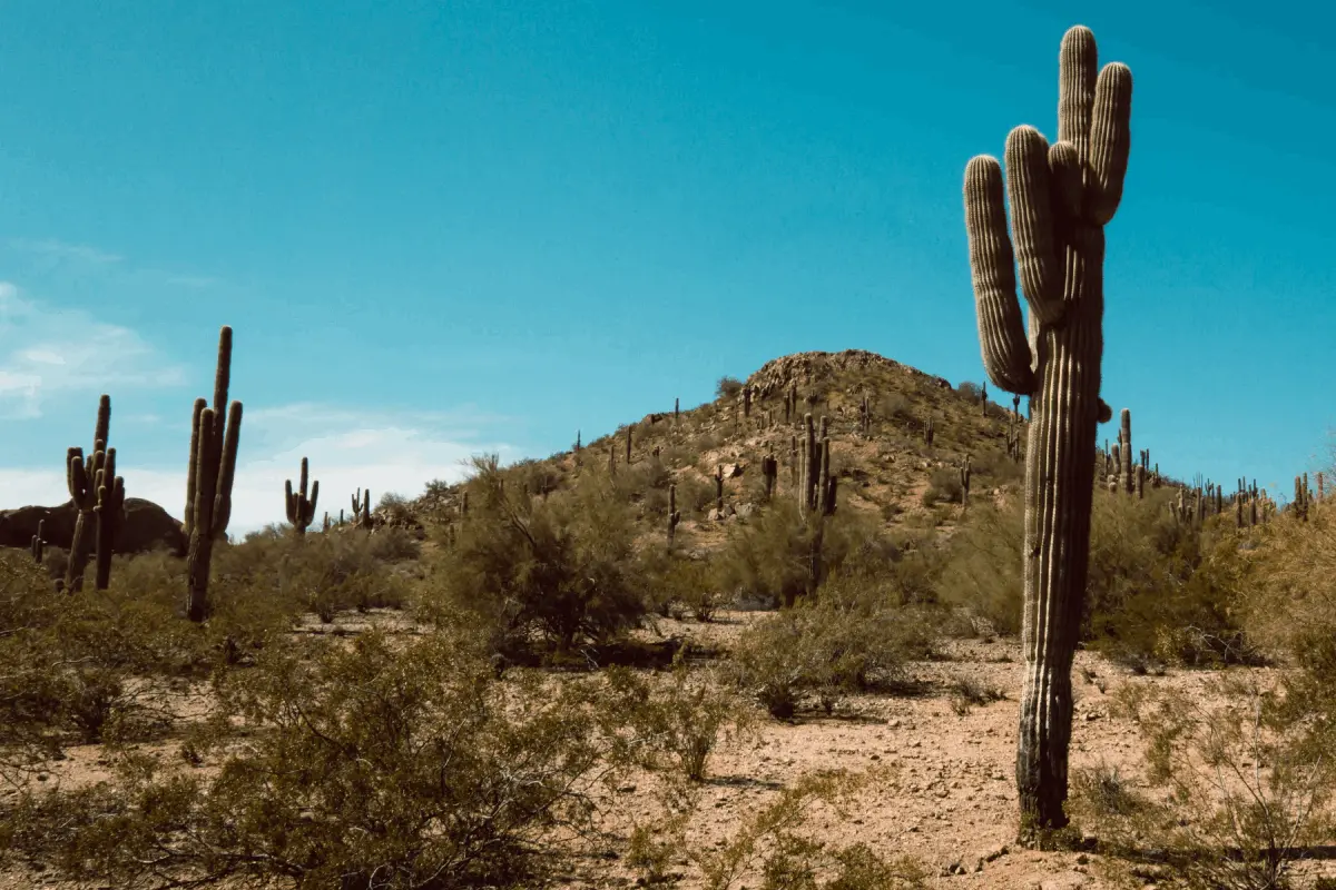 Photo by Thalia Perla